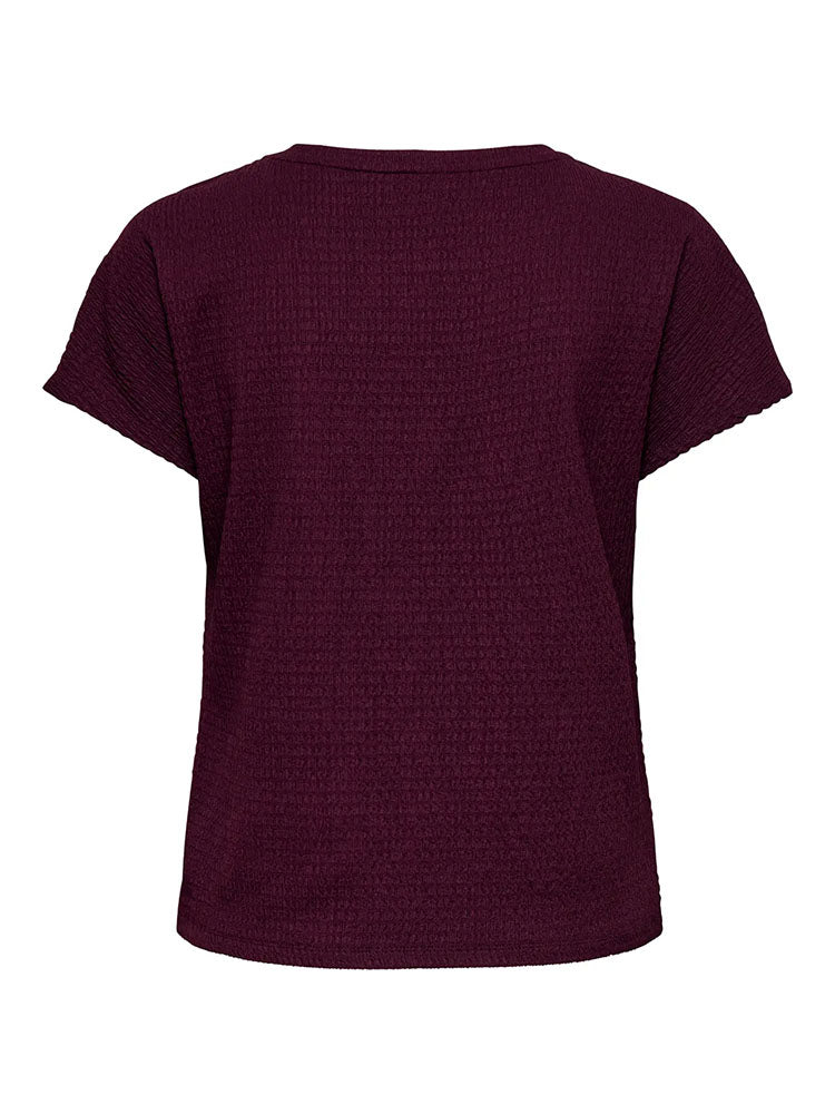 Onldebbie Short Sleeve Top-Fig