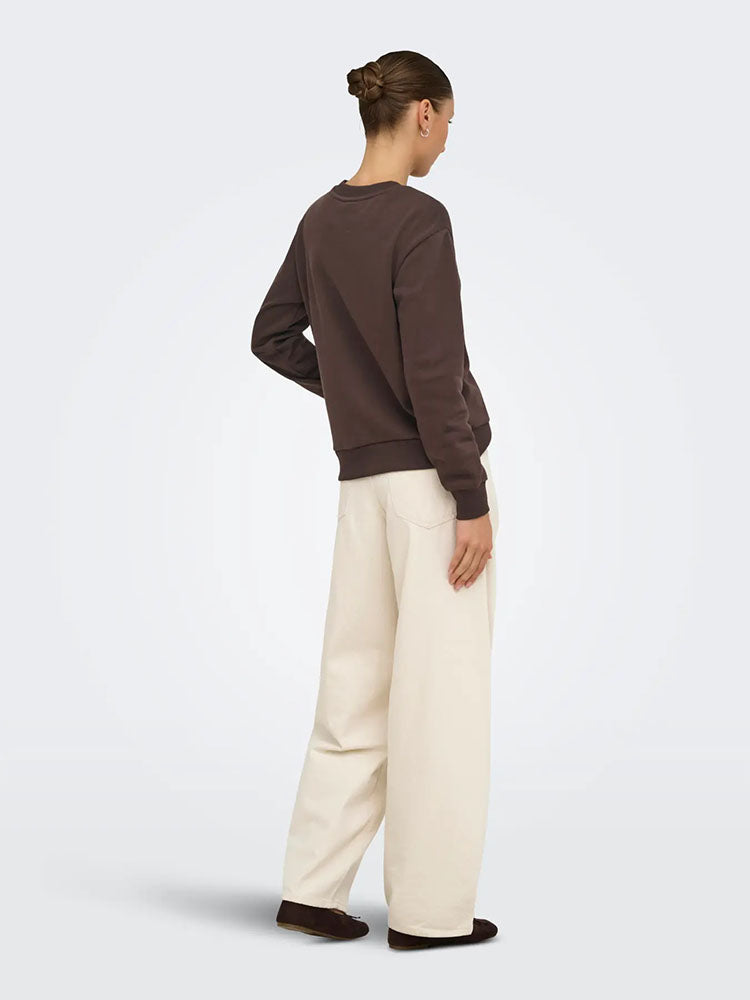 Jdyparis Sweater-Coffee Bean